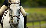 Equestrian Communities