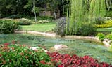 Green Communities