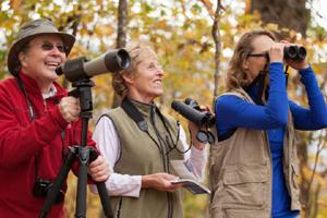 Discovery Packages available at Mountain Air in Burnsville, North Carolina