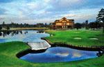 Read more about this Wallace, North Carolina Discovery Package