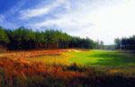 Read more about this Spring Lake, North Carolina Discovery Package