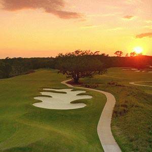 Discovery Packages available at Briar�s Creek in Johns Island, South Carolina