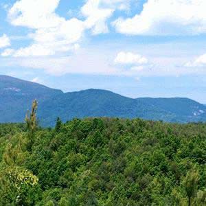 Discovery Packages available at Contuck Preserve in Mill Spring, North Carolina