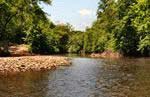 Read more about this Mill Spring, North Carolina Discovery Package