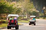 Read more about this Summerville, South Carolina Discovery Package