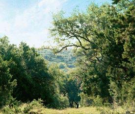 Discovery Packages available at Havenwood at Hunter's Crossing in New Braunfels, Texas