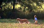 Read about Heritage Preserve Discovery Package