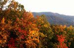 Read more about this Asheville, North Carolina Discovery Package