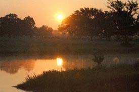Discovery Packages available at King Oaks in Iola, Texas