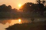 Read about King Oaks Discovery Package