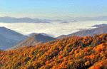 Read more about this Blairsville, Georgia Discovery Package