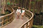 Read more about this Fort Myers, Florida Discovery Package