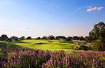 Read more about this Horseshoe Bay, Texas Discovery Package