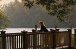 Read more about this Valdese/Morganton, North Carolina Discovery Package