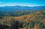 Read more about this Lake Lure, North Carolina Discovery Package