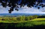 Read about Walnut Springs Mountain Reserve Discovery Package