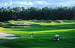 Read more about this Conway, South Carolina Discovery Package