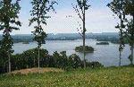 Read about Windswept on Cherokee Lake Discovery Package
