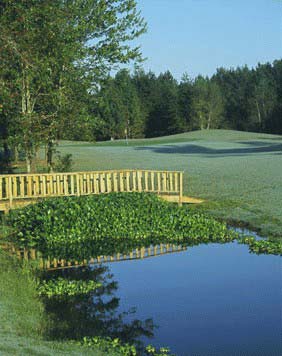 Discovery Packages available at Wyboo Plantation in Manning, South Carolina
