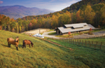 Sylva, North Carolina Equestrian Community