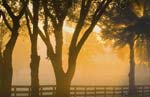 Hudson, Florida Private Community