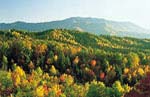 Black Mountain, North Carolina Gated Community