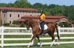 Mint Hill, North Carolina Equestrian Community