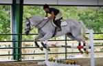 Finchville, Kentucky Equestrian Community