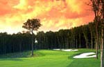 Daniels, West Virginia Gated Golf Course Community