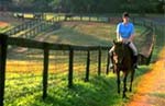 Charlottesville, Virginia Recreation Community