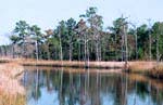 Georgetown, South Carolina Gated Community