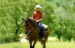 Waller, Texas Bluegreen Community