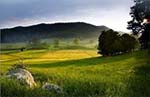 Hendersonville, North Carolina Gated Golf Course Community