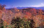 Hendersonville, North Carolina Gated Community
