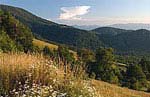 Boone, North Carolina Land Conservation Community