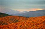 Brevard, North Carolina Skiing Community