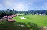 Naples, Florida Community