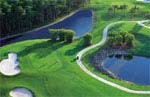Naples, Florida Community