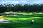 Conway, South Carolina Lakefront Homes Community