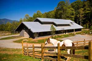 Return to the Balsam Mountain Preserve Feature Page