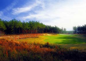 Return to the Anderson Creek Club Feature Page