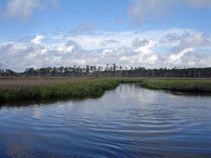Return to the Chadwick Shores Plantation Feature Page