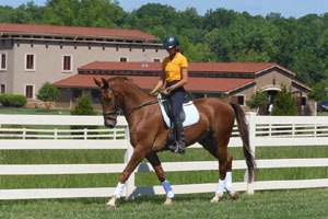 Return to the Cheval Feature Page