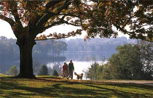 Return to the Fairvue Plantation Feature Page