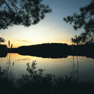 Discovery Packages available at Ford's Colony Rocky Mount in Rocky Mount, North Carolina