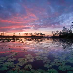 Discovery Packages available at Grand Landings in Palm Coast, Florida