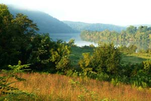 Return to the Harbour Crest Feature Page