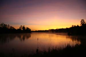 Return to the Lake Carolina Feature Page