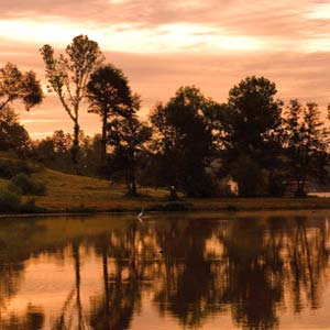 Return to the Land's End on Lake Anna Feature Page