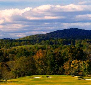 Return to the Owen Glen Feature Page